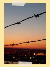 Image of barbed wire